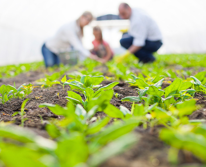 2-710x575-farmer4-valuations